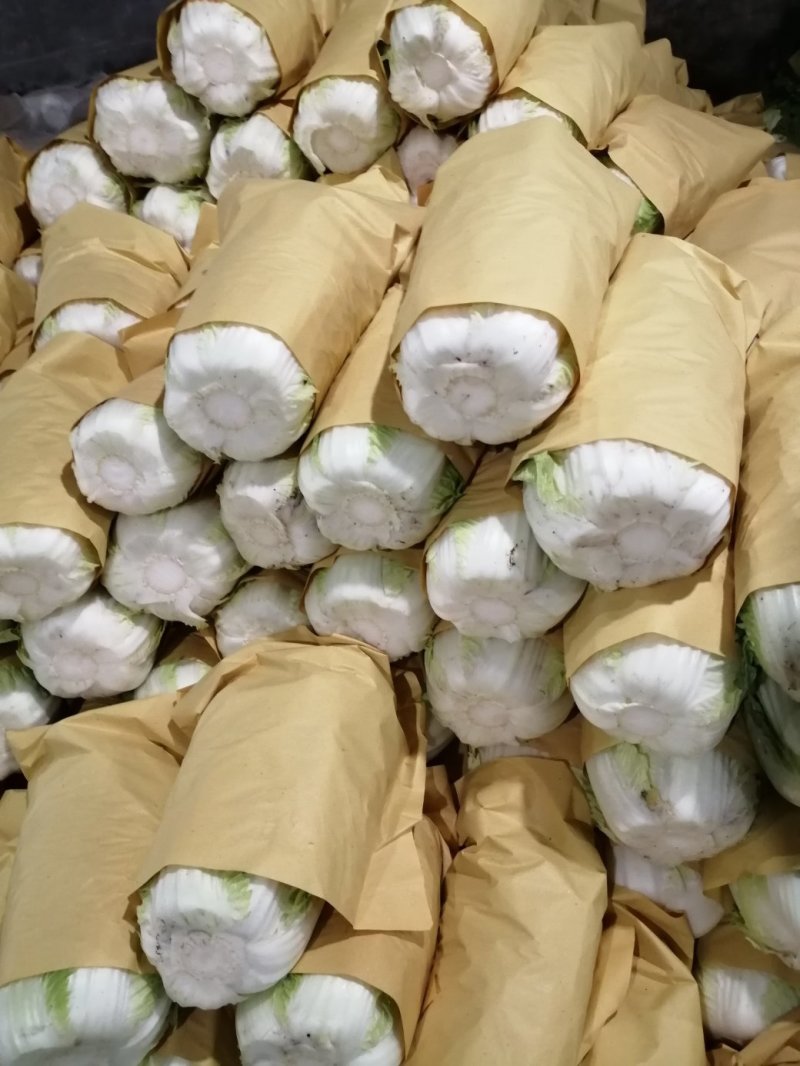 黄心白菜，精品玲珑黄，精品白菜