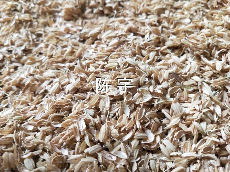 常年销售稻壳