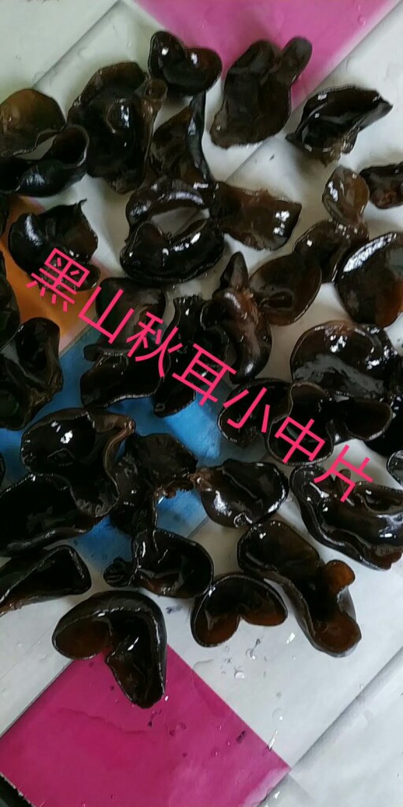 【优选】黑厚小碗耳无蒂无杂质泡发率高肉质敦厚口感爽滑
