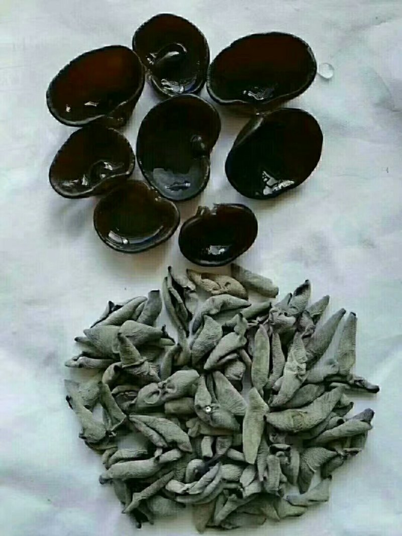 【优选】黑厚小碗耳无蒂无杂质泡发率高肉质敦厚口感爽滑