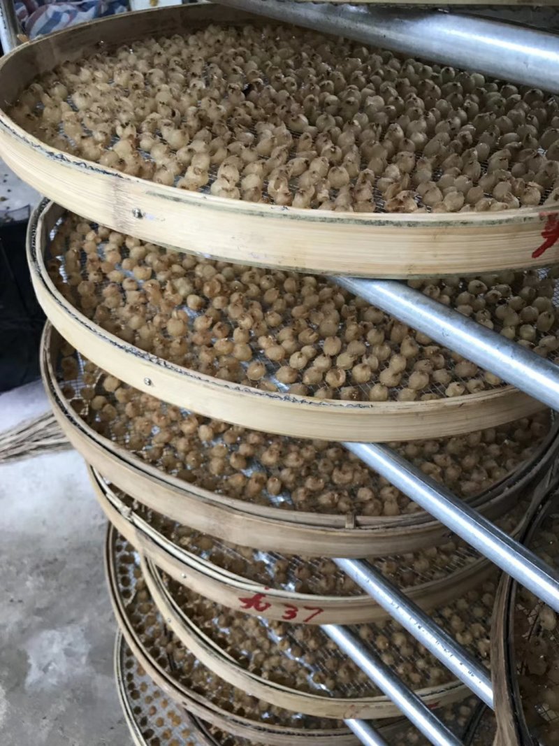 广西桂圆肉，龙眼干，桂圆肉，，，，，，，