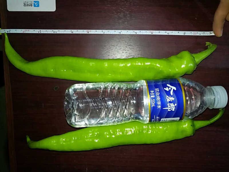 鲜辣椒线椒黄皮尖椒泡椒黑皮椒
