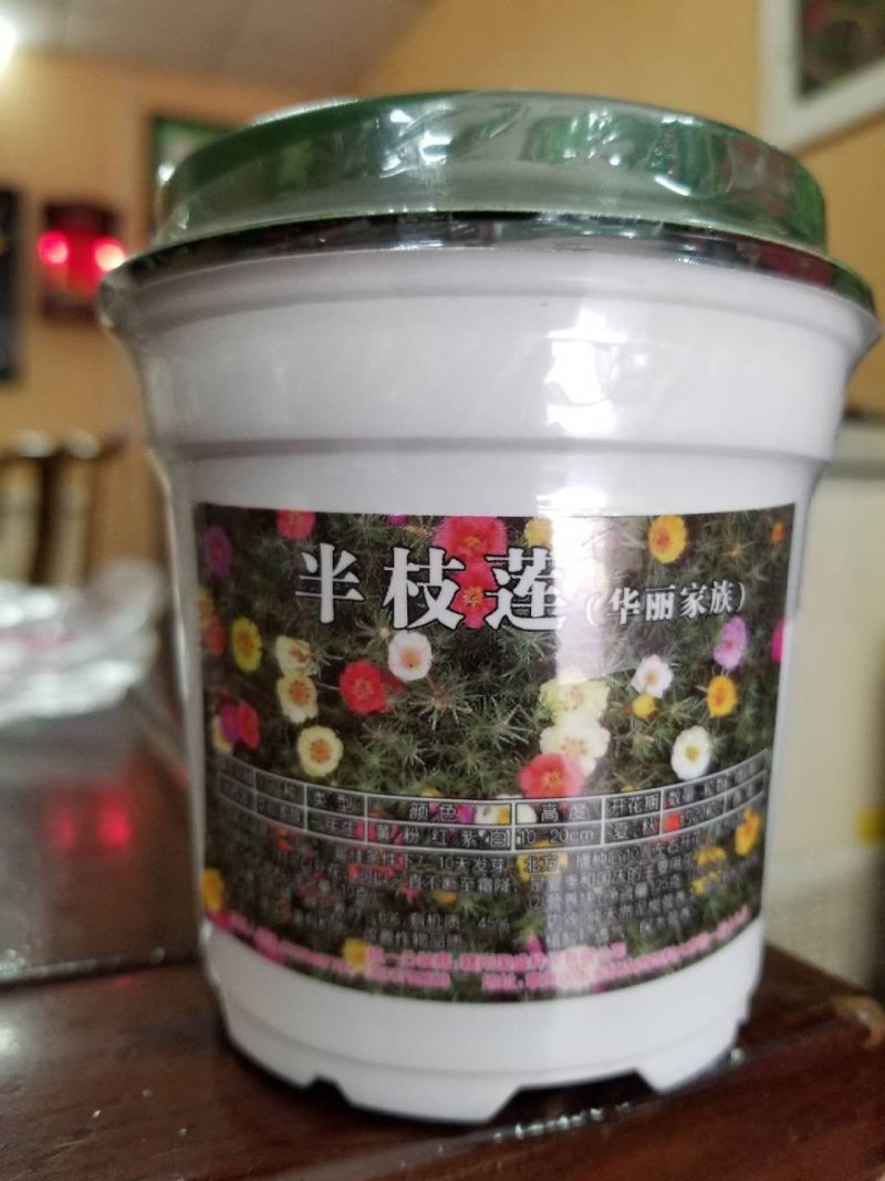 花草种子牛商推荐量大从优