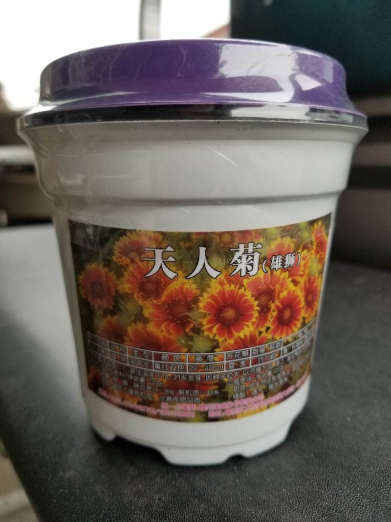 花草种子牛商推荐量大从优
