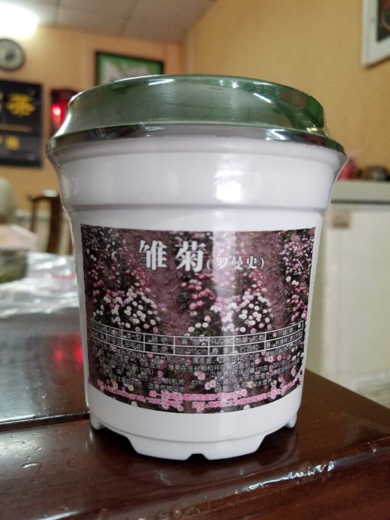 花草种子牛商推荐量大从优