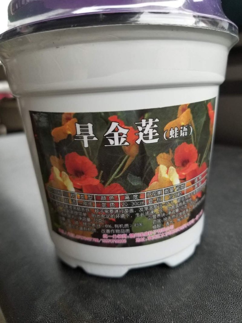 花草种子牛商推荐量大从优