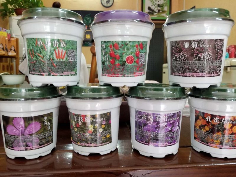 花草种子牛商推荐量大从优