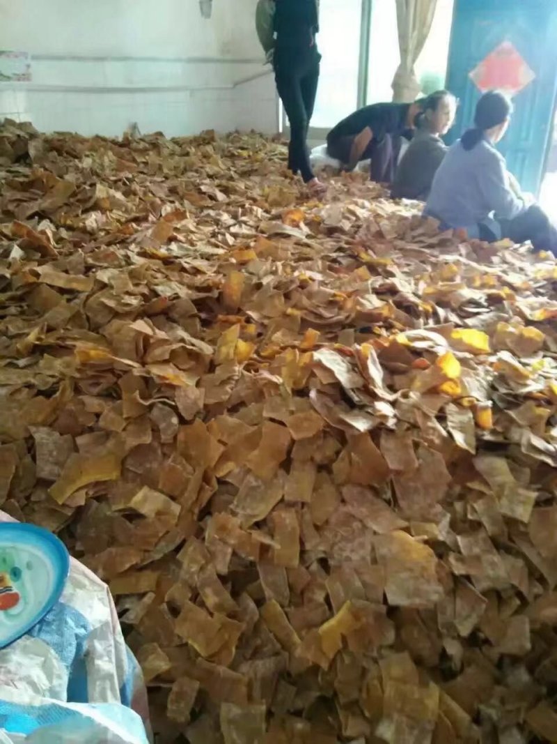 中国麻竹笋之乡一英德竹笋干出口笋片加工出口丝竹笋苗
