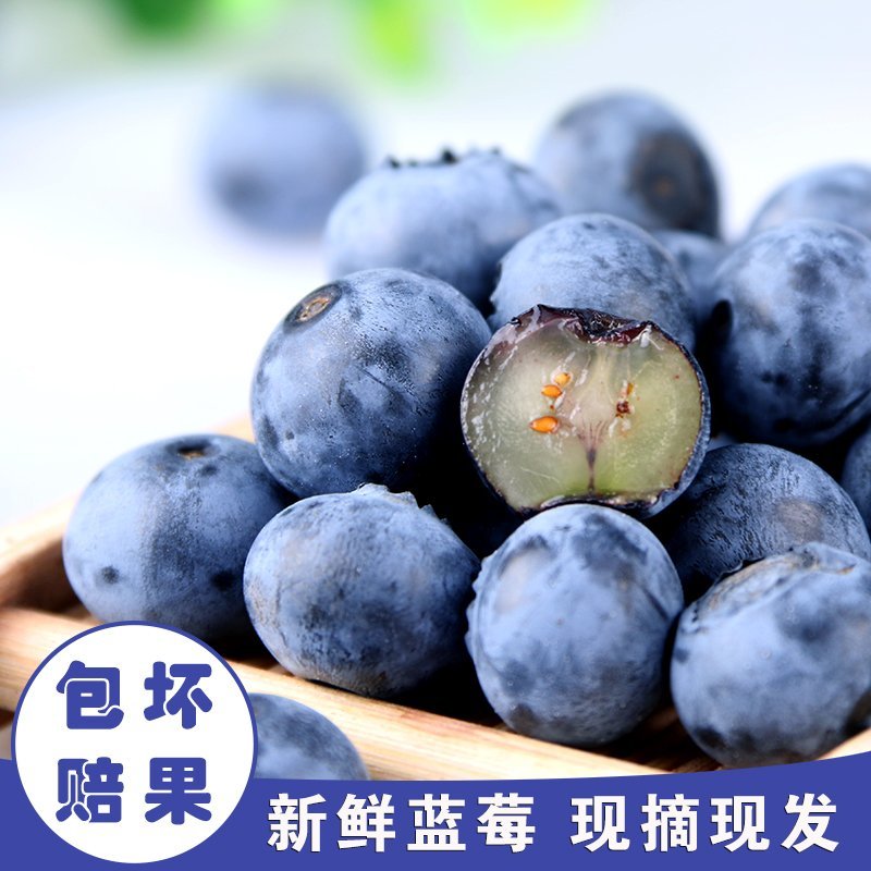 贵州紫云天赐蓝莓
