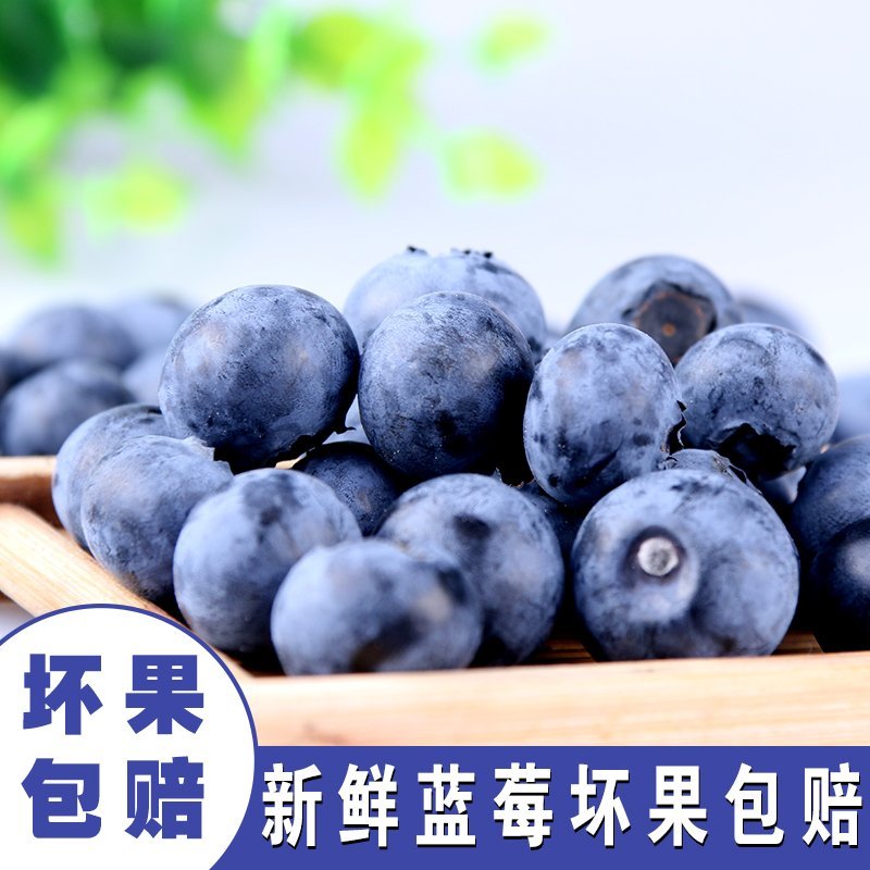 贵州紫云天赐蓝莓