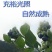 贵州紫云天赐蓝莓