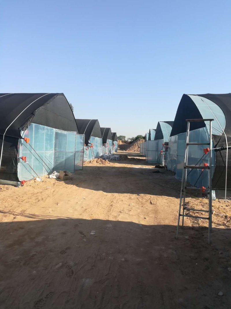 淇县大棚骨架厂家，浚县食用菌大棚设计