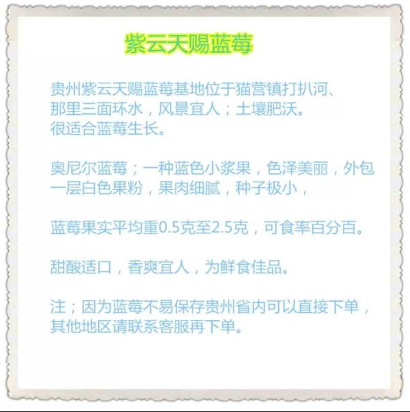贵州紫云天赐蓝莓
