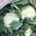有机花、菜花】青梗白面散花、菜花大量供应、保证质量