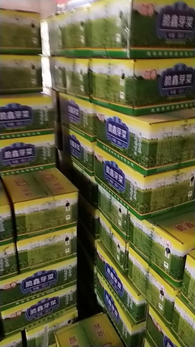 箱装宜宾芽菜