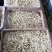 贡菊选货干货黄山贡菊1斤起包邮
