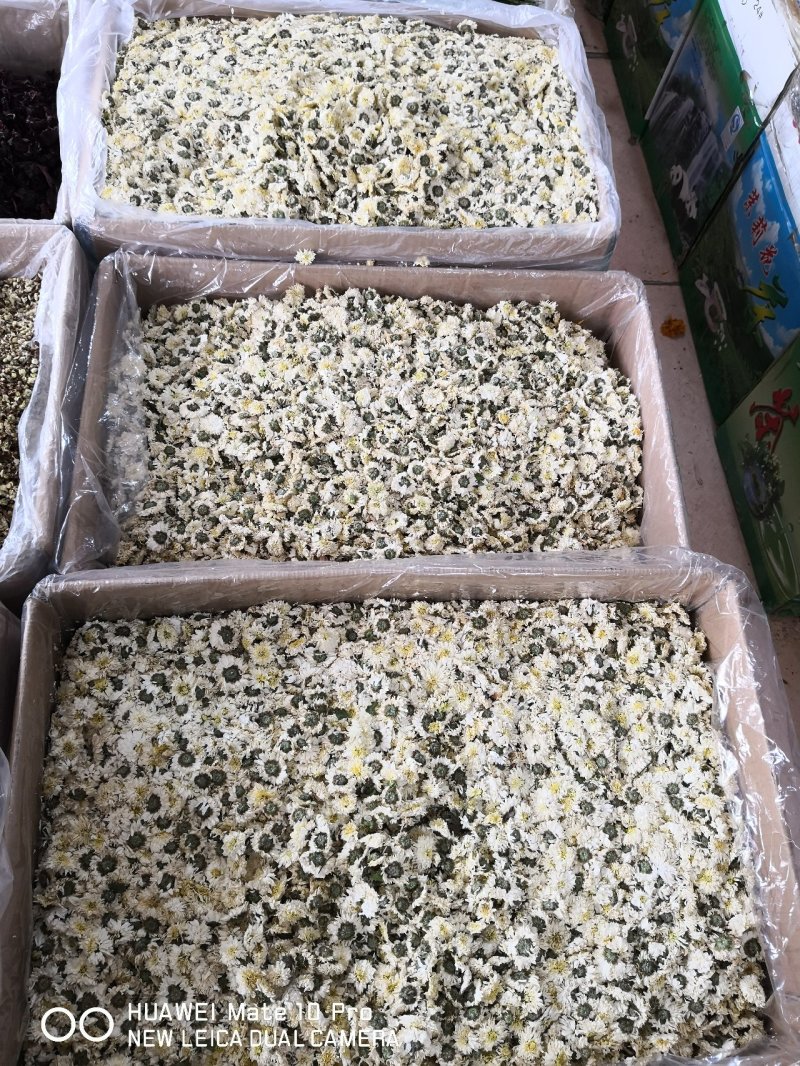 贡菊选货干货黄山贡菊1斤起包邮