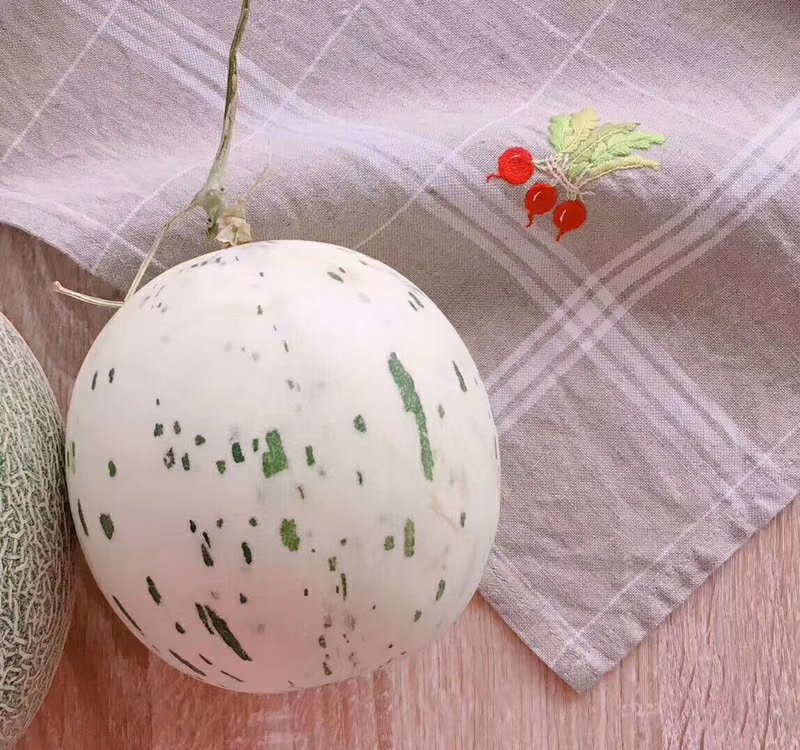 阳光小蜜～月露瓜