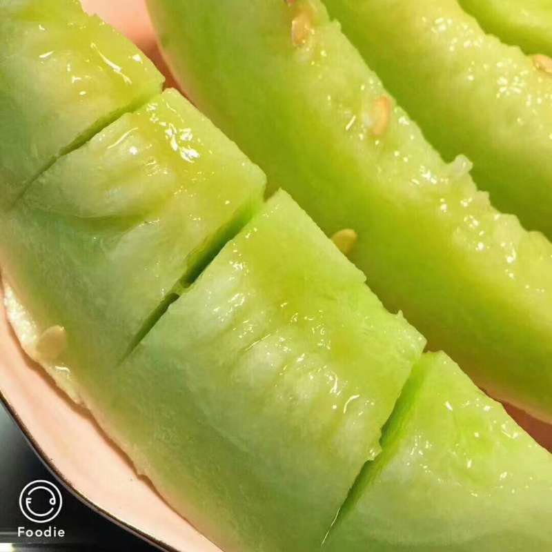 阳光小蜜～月露瓜