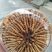 2019冬虫夏草鲜草山南草