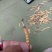 2019冬虫夏草鲜草山南草