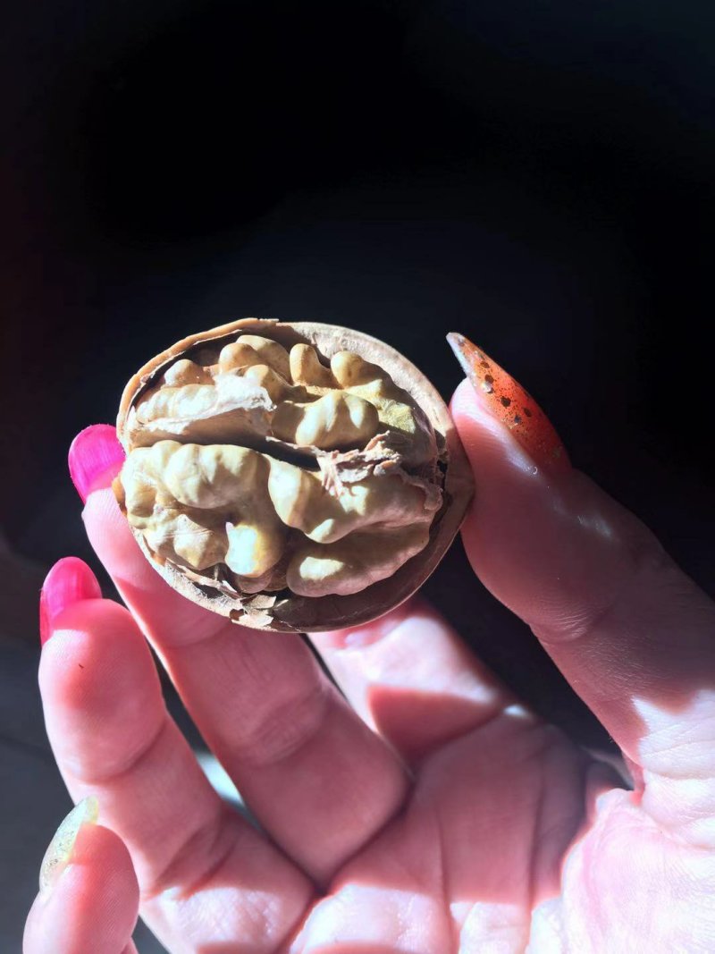 阿克苏薄皮核桃