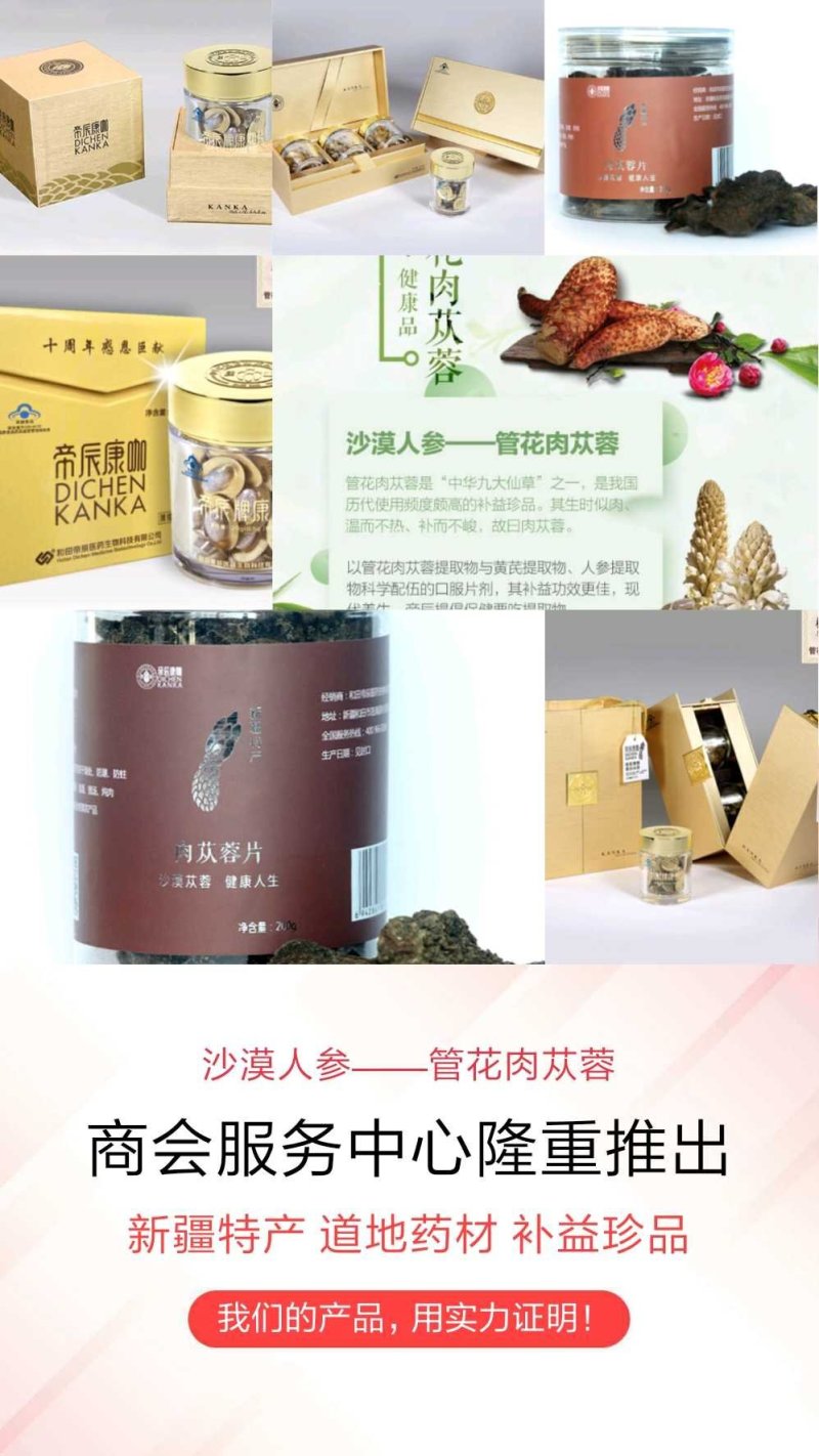 新疆管花肉苁蓉