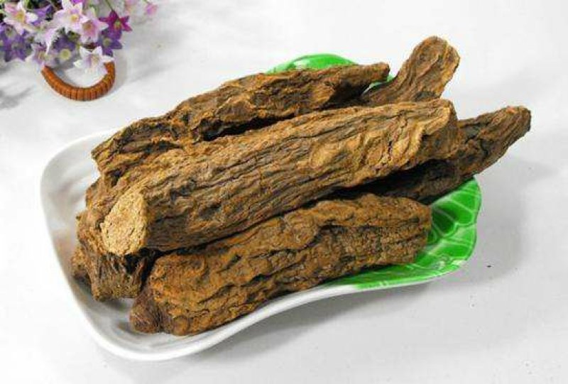 新疆管花肉苁蓉