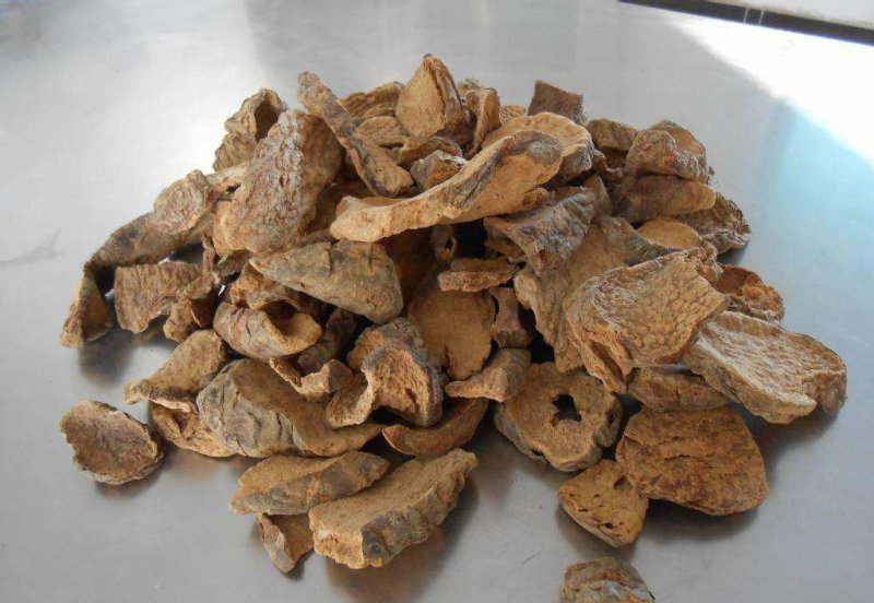 新疆管花肉苁蓉