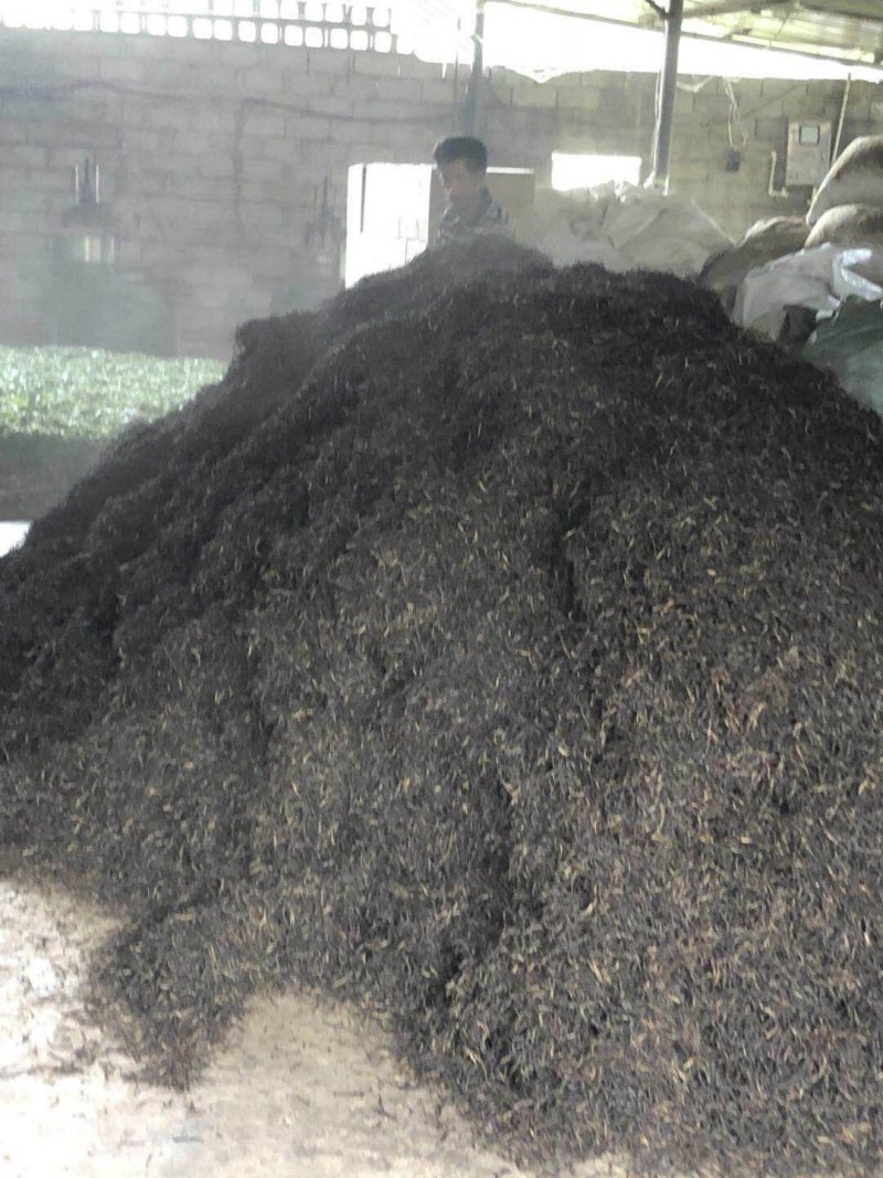 红茶滇红普洱茶香甜型特级金丝蜜香红茶活动价
