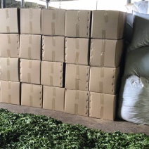 红茶滇红普洱茶香甜型特级金丝蜜香红茶活动价