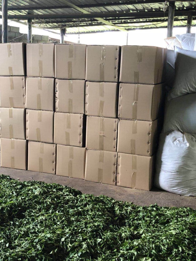 红茶滇红普洱茶香甜型特级金丝蜜香红茶活动价