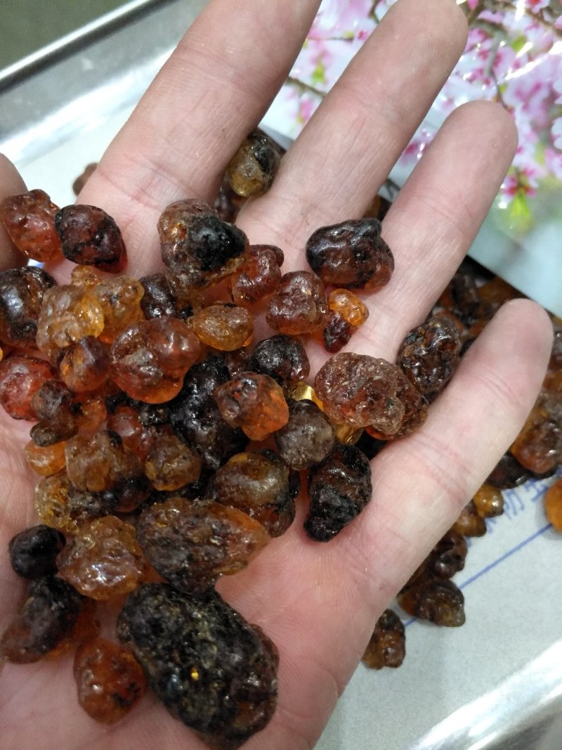 桃胶批发各种规格中药材冷药材