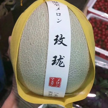 鲁厚甜网纹瓜实力代办一件代发对接各大电商