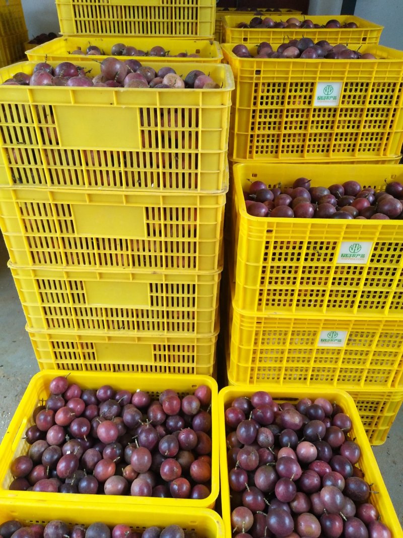 百香果