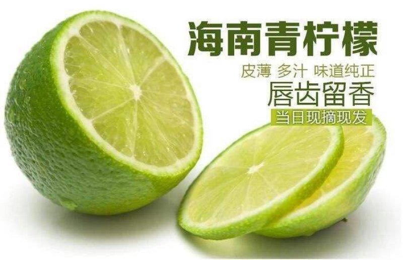 海南青柠檬批发