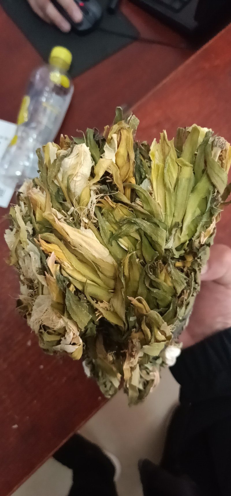 霸王花干货无硫药用可以煲汤炖菜批发零售各种规格中药材