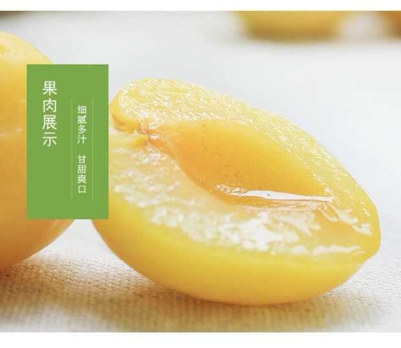 库车小白杏/新疆小白杏/轮台小白杏落地配冷链