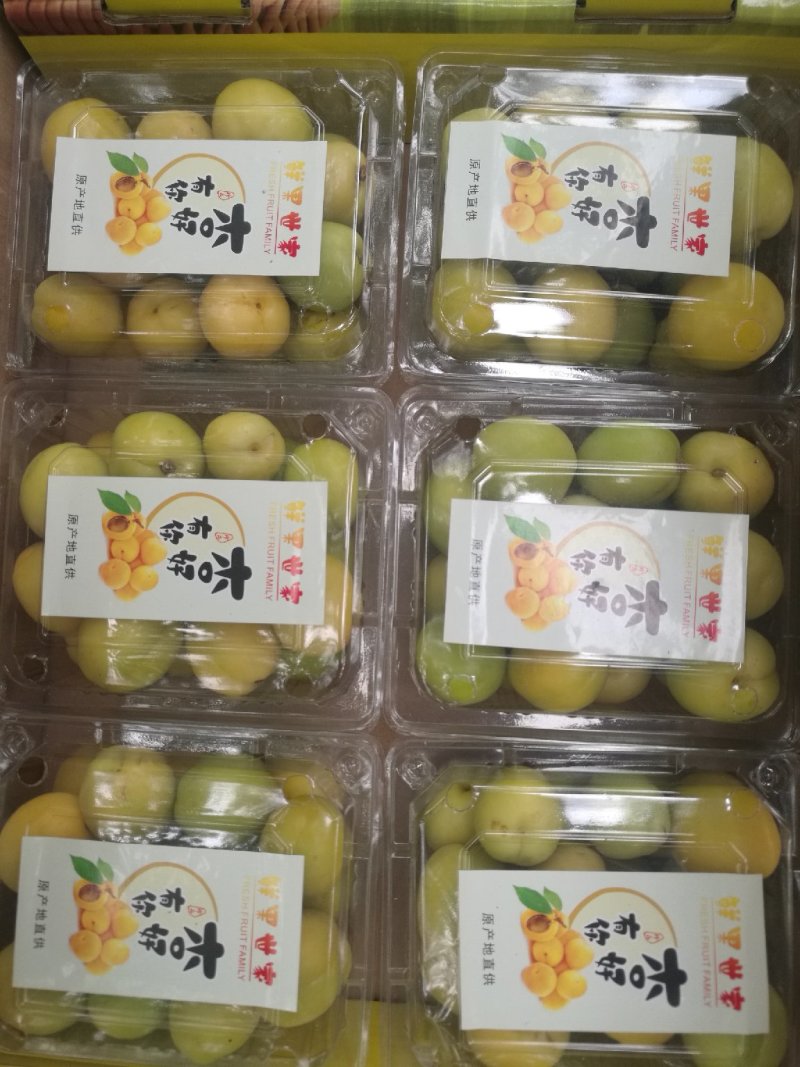 库车小白杏/新疆小白杏/轮台小白杏落地配冷链