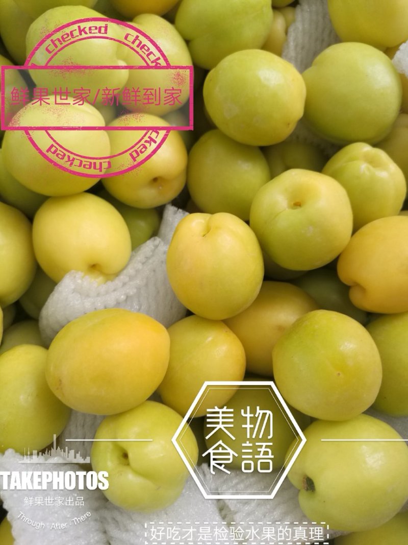 库车小白杏/新疆小白杏/轮台小白杏落地配冷链