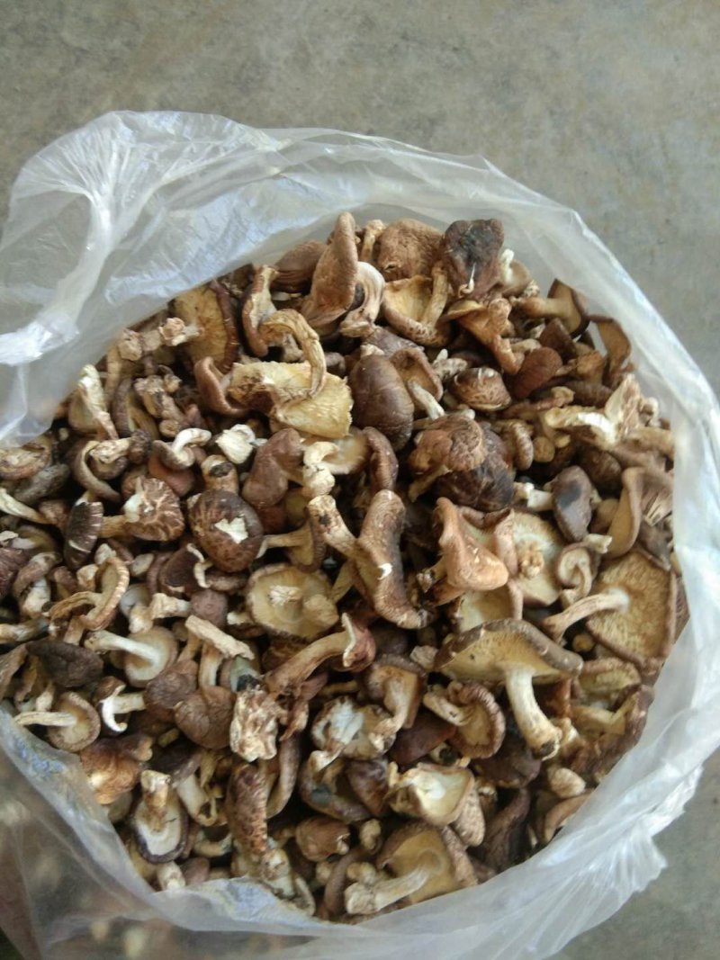 大凉山纯野生蘑菇，干货！