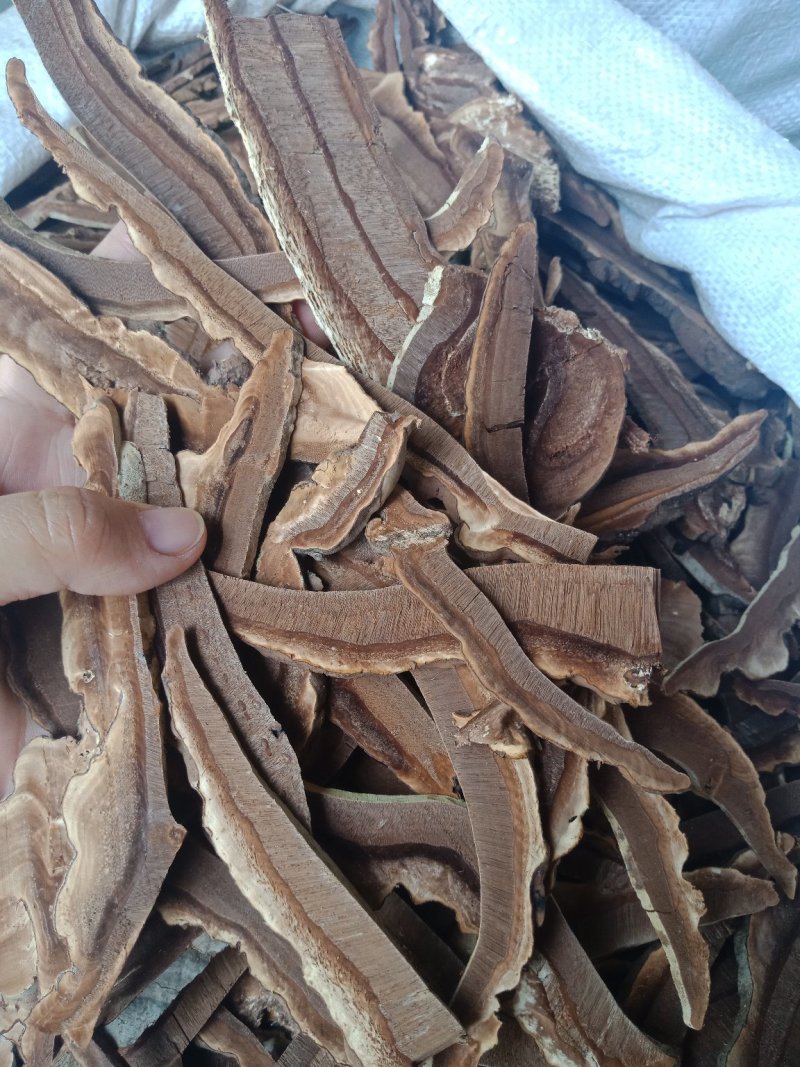 灵芝片家种红灵芝片包邮批发零售各种批发零售各种规格中药材