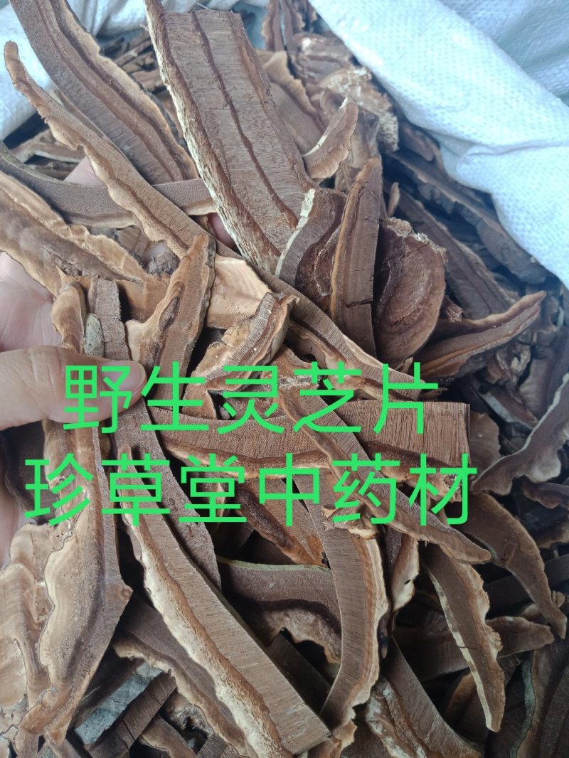 灵芝片家种红灵芝片包邮批发零售各种批发零售各种规格中药材