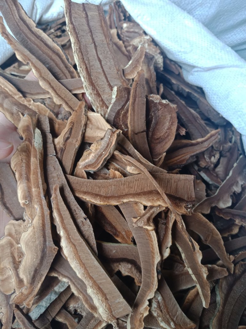 灵芝片家种红灵芝片包邮批发零售各种批发零售各种规格中药材