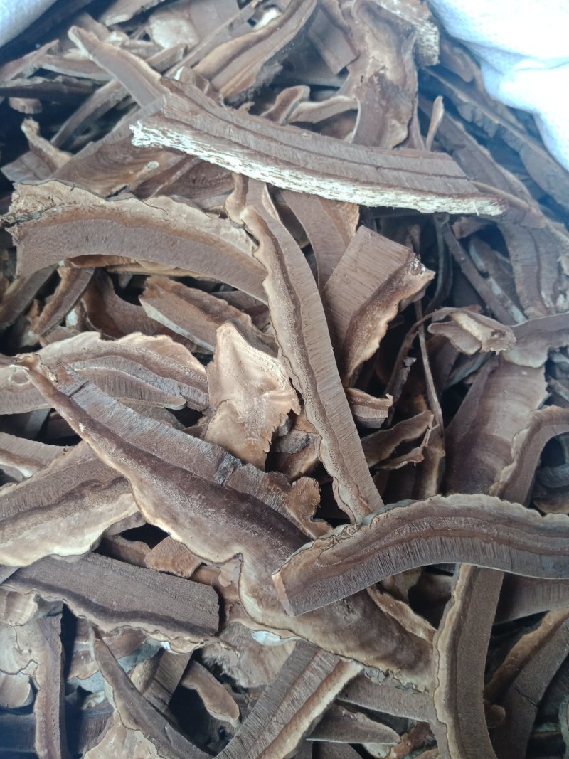 灵芝片家种红灵芝片包邮批发零售各种批发零售各种规格中药材