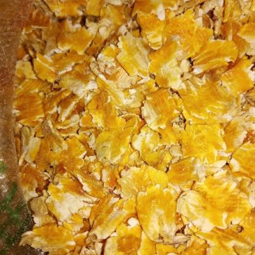 玉米压片，水份干质量好