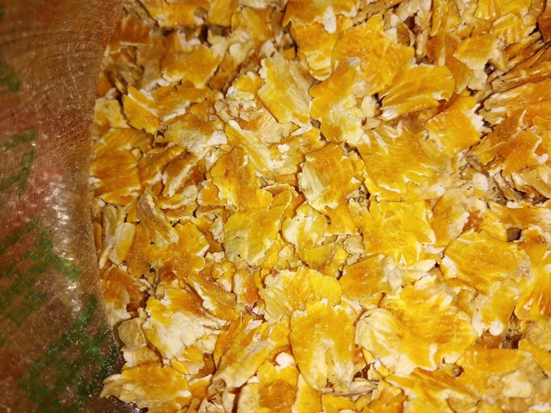 玉米压片，水份干质量好
