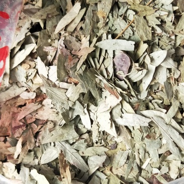 番泻叶,优质泻叶泻叶茶