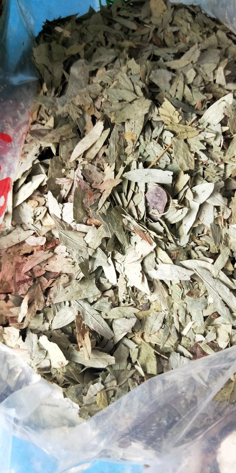 番泻叶，优质泻叶泻叶茶