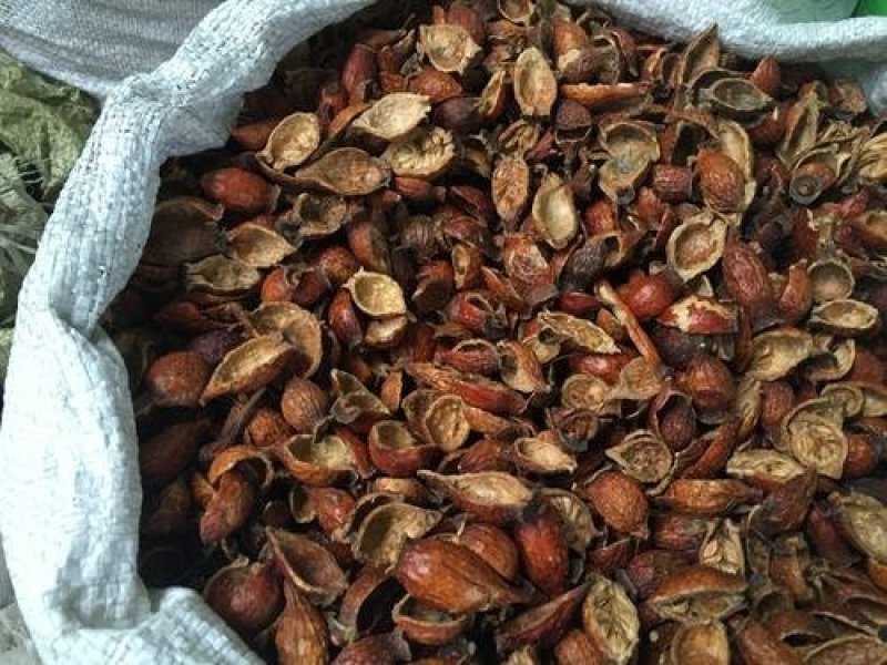 金樱子，金樱子肉。去籽肉厚，